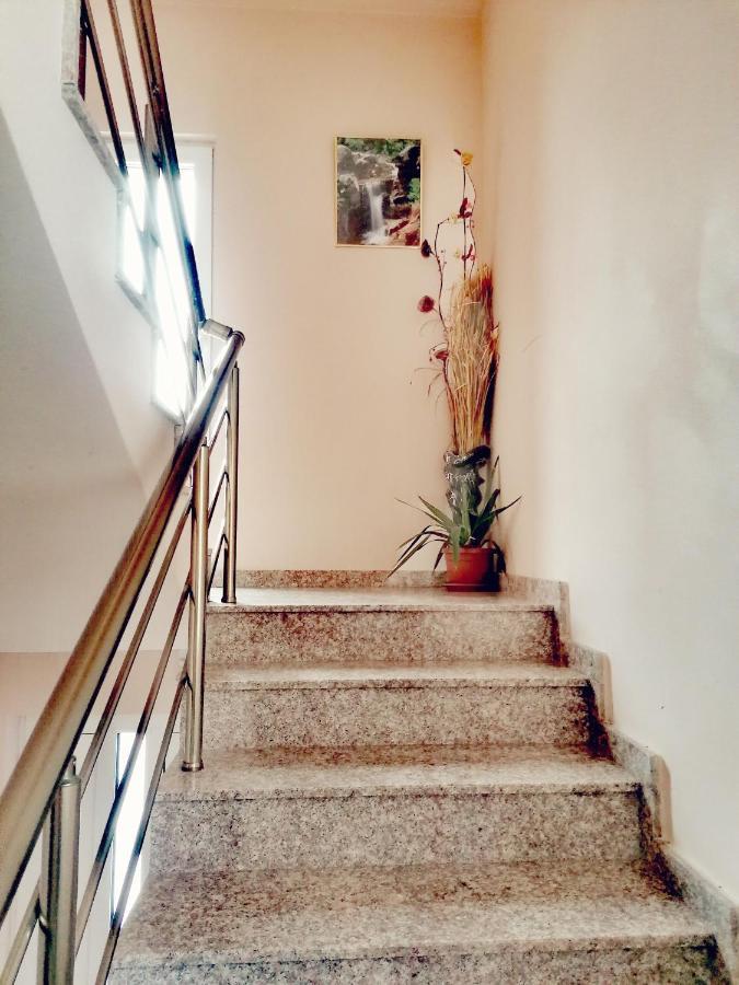 Apartment Daiv Sapareva Banya Dış mekan fotoğraf