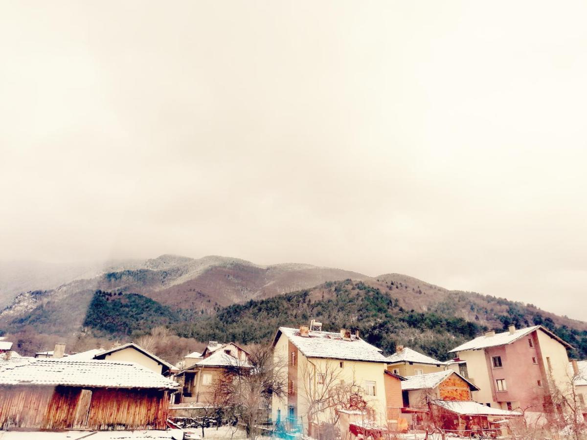 Apartment Daiv Sapareva Banya Dış mekan fotoğraf