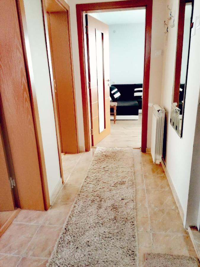 Apartment Daiv Sapareva Banya Dış mekan fotoğraf
